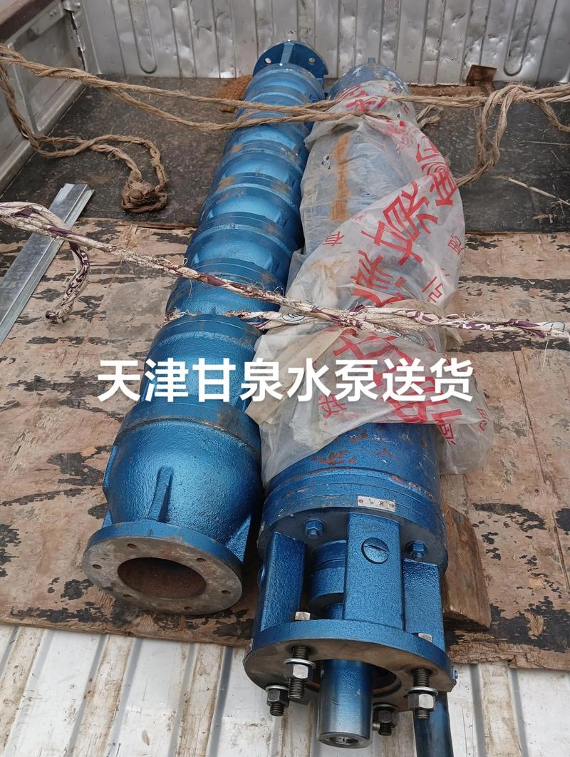 天津水泵